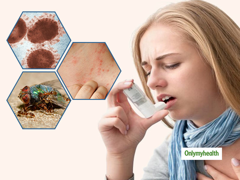 Pestered By The ‘Home Invaders’? Learn How Termites Can Create Menace for Health